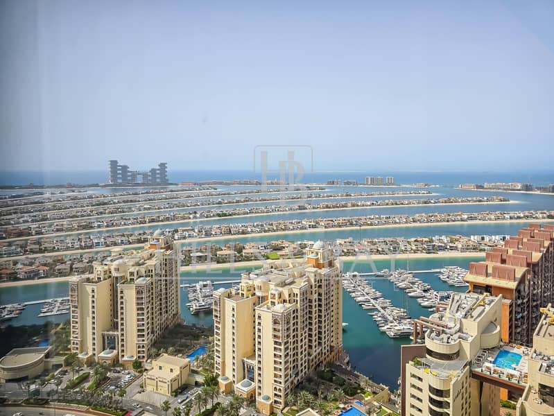 Modern Luxurious Studio Amazing Palm view