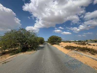 Industrial Land for Sale in Al Hamriyah, Sharjah - WhatsApp Image 2025-02-03 at 6.35. 11 PM (4). jpeg