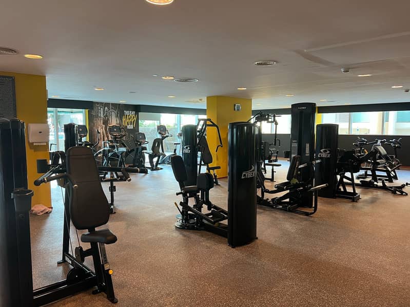 11 Gym. jpeg
