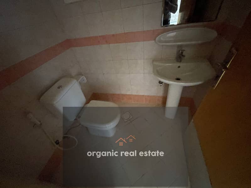 4 IMG_8203. jpeg