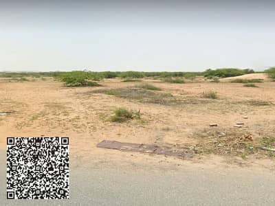 Земля промышленного назначения Продажа в Аль Хамрия, Шарджа - صورة واتساب بتاريخ 1446-12-06 في 21.45. 17_02ca12f2. jpg
