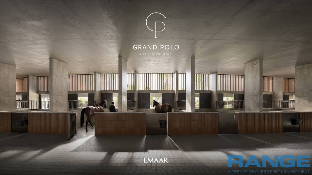 20 GRAND_POLO_IMAGE19. jpg