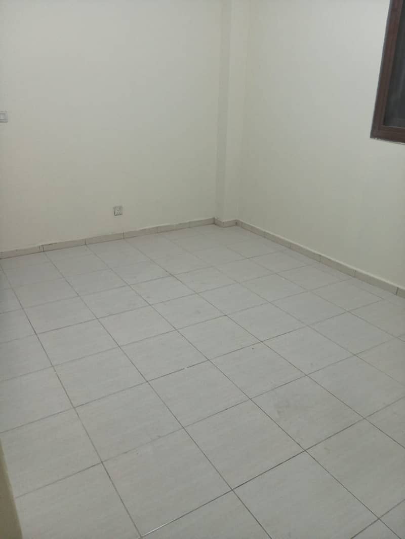 6 IMG_8853. jpeg