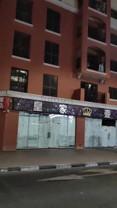 国际城， 迪拜 1 卧室单位待租 - VID-20250529-WA0209(12). jpg
