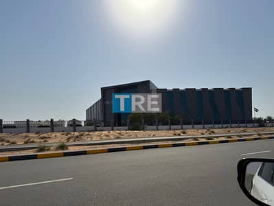 Plot for Sale in Al Salam City, Umm Al Quwain - IMG-20250603-WA0055. jpg