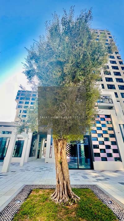 阿尔雷姆岛， 阿布扎比 1 卧室单位待租 - WhatsApp Image 2025-04-05 at 15.29. 02 (2). jpeg