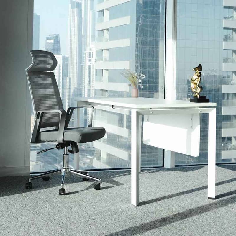 WEBIZZ BUSINESS CENTER LLC