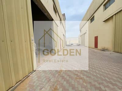 Warehouse for Rent in Umm Al Thuoob, Umm Al Quwain - WhatsApp Image 2025-04-03 at 11.32. 13 PM (1). jpeg