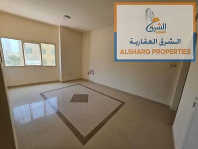 فلیٹ 2 غرفة نوم للايجار في كورنيش عجمان، عجمان - IMG-20250605-WA0065. jpg