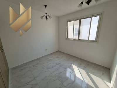 姆瓦伊莱社区， 夏尔迦 1 卧室公寓待租 - IMG-20250507-WA0008. jpg