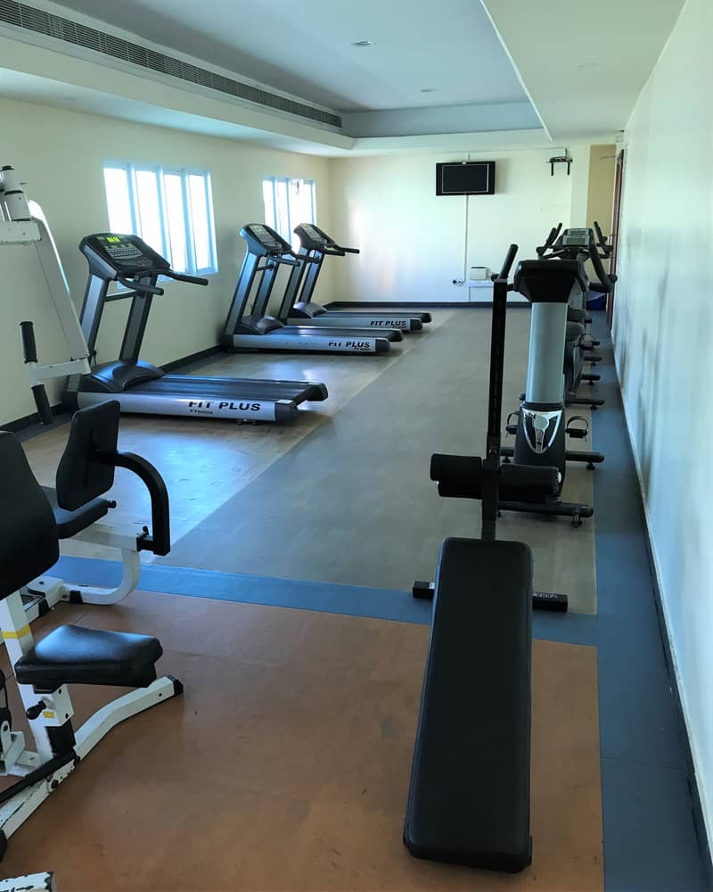 10 file4-11gym. jpeg