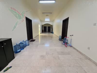安莎瑞， 阿尔艾因 1 卧室单位待租 - IMG-20250605-WA0017. jpg