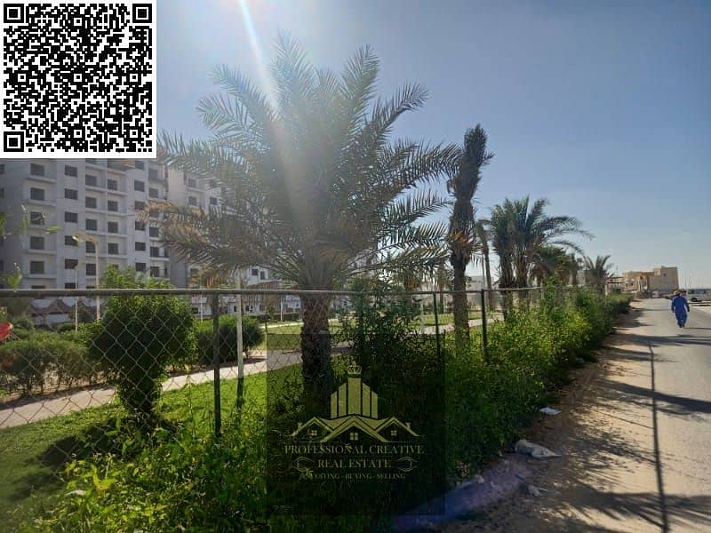 5 WhatsApp Image 2024-11-16 at 20.21. 20_ef44edf3. jpg