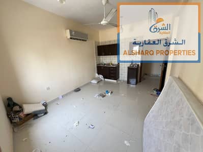 استوديو  للايجار في النخيل، عجمان - IMG-20250607-WA0070. jpg