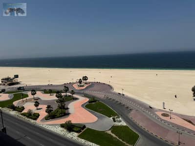 مکتب  للايجار في كورنيش عجمان، عجمان - IMG-20250607-WA0183. jpg
