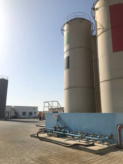 Warehouse for Sale in Al Jurf, Ajman - WhatsApp Image 2025-06-08 at 17.41. 56_8a5fb52f. jpg