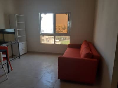 Studio for Rent in Remraam, Dubai - PHOTO-2025-05-24-10-38-39. jpg