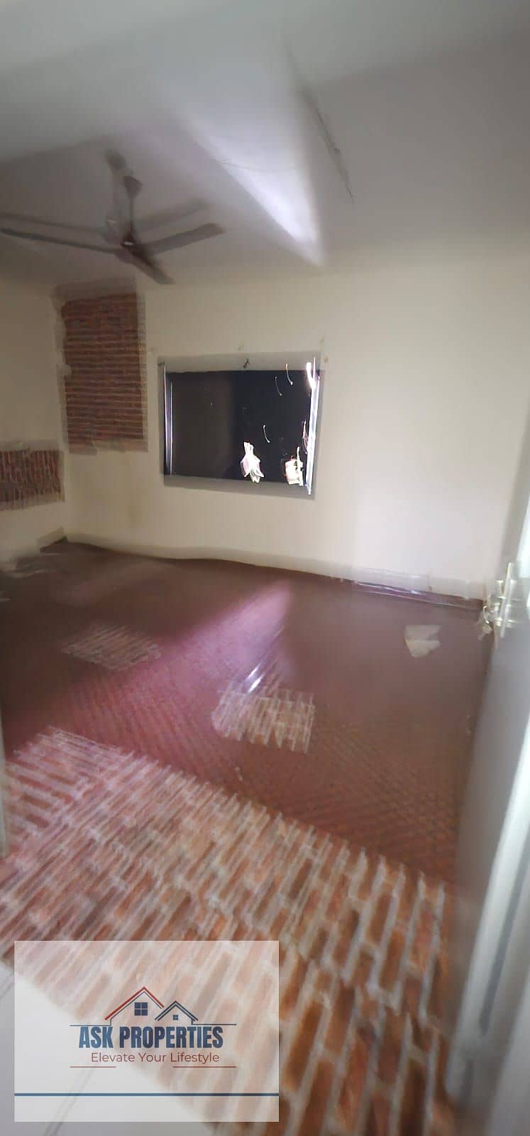 9 1000042562. jpg