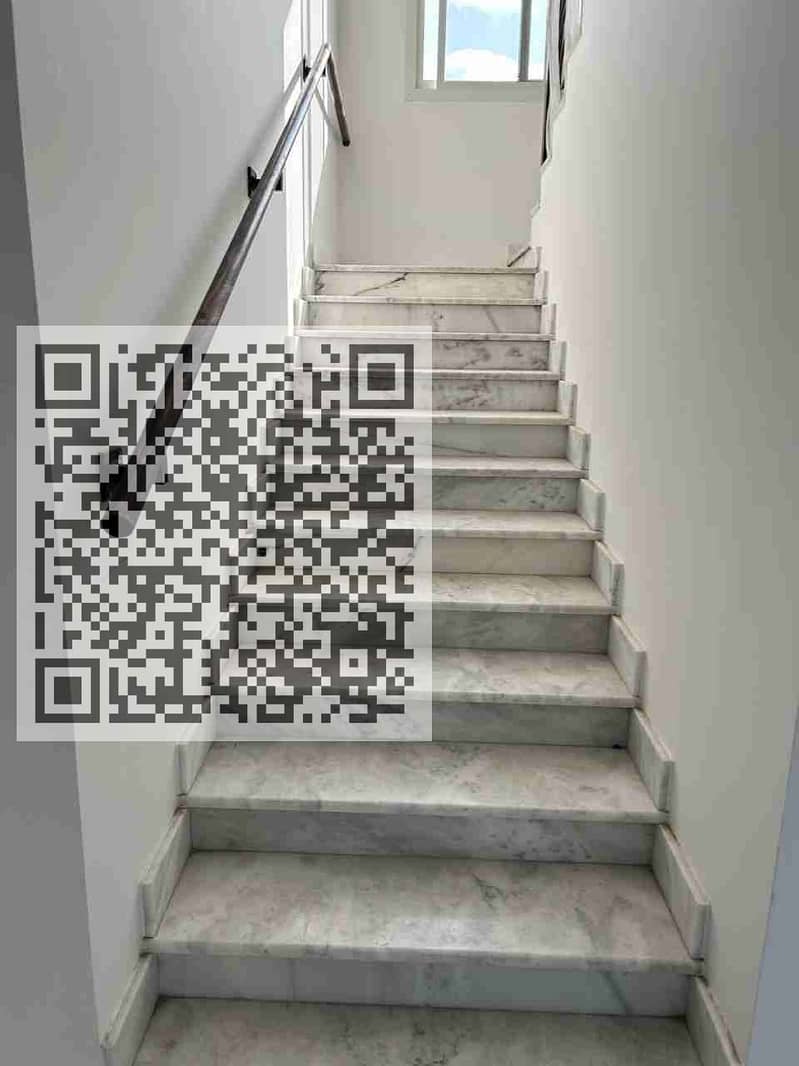 11 1000098159. jpg