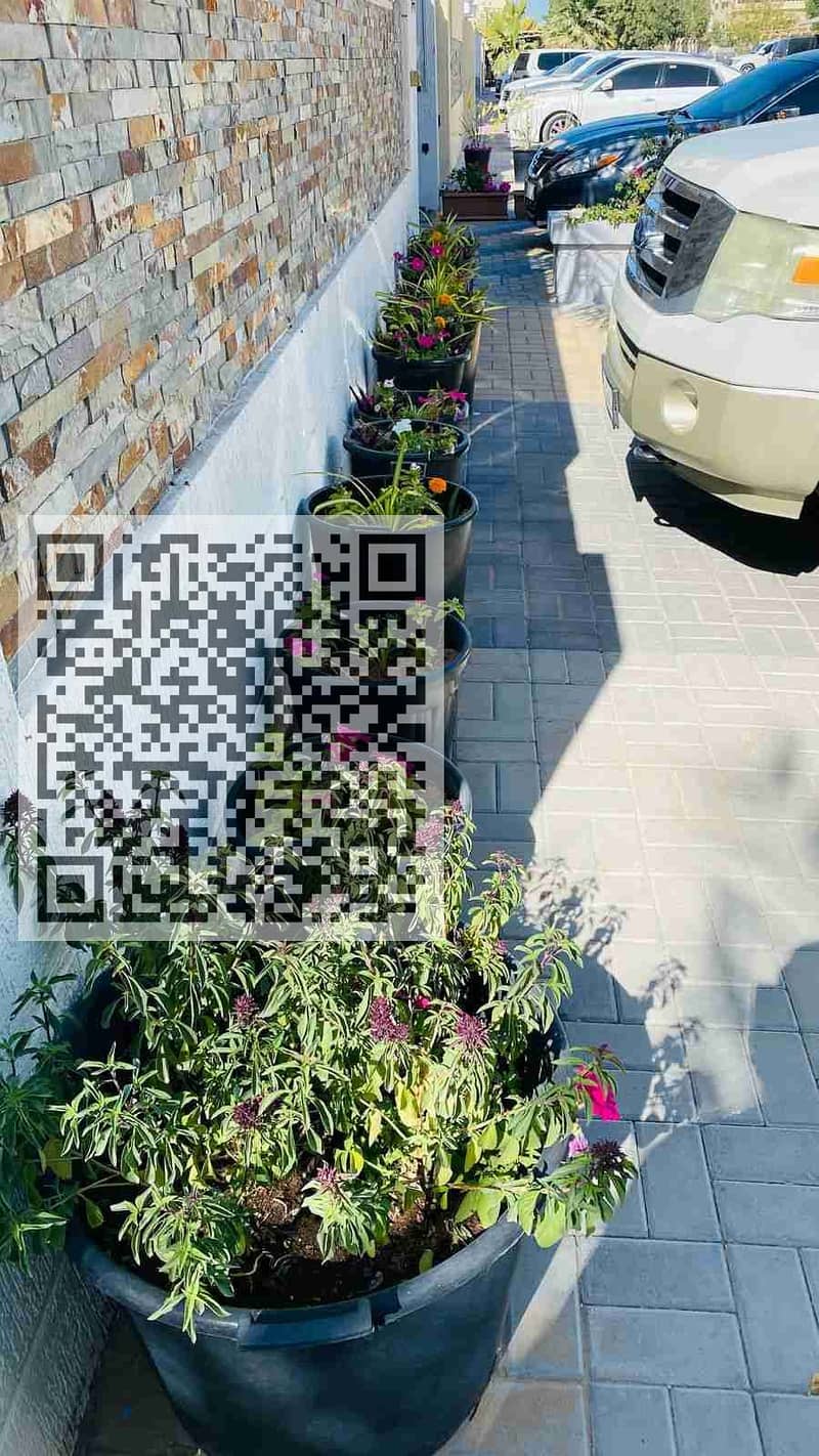 5 1000097961. jpg