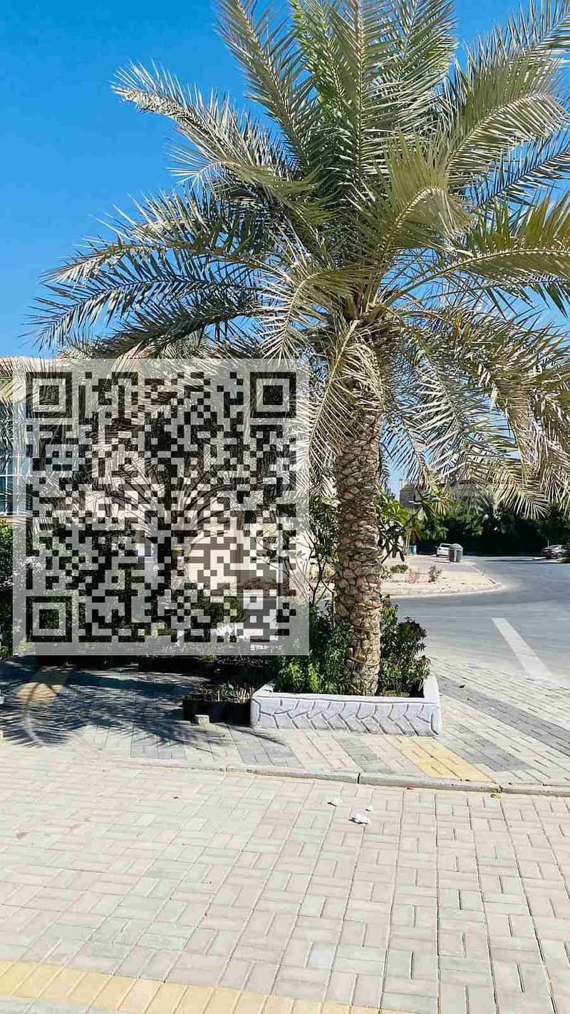 15 1000097964. jpg