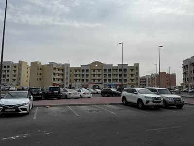 Studio for Rent in International City, Dubai - WhatsApp Image 2025-02-14 at 11.57. 59 AM (1). jpeg