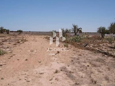Plot for Sale in Al Belaida, Sharjah - 2. jpg
