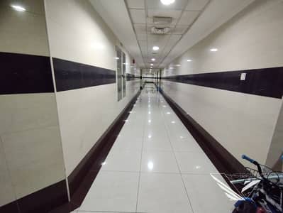 阿尔马贾兹， 夏尔迦 3 卧室公寓待租 - IMG_20250604_184216. jpg