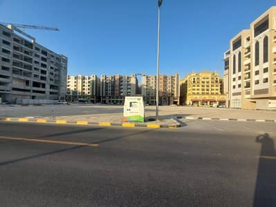 ارض تجارية  للبيع في المجرة، الشارقة - WhatsApp Image 2025-02-20 at 11.41. 55 AM. jpeg