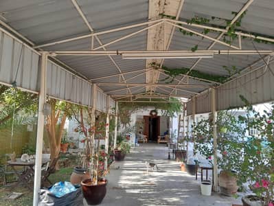 3 Bedroom Villa for Sale in Al Fayha, Sharjah - WhatsApp Image 2025-02-22 at 9.27. 44 AM. jpeg