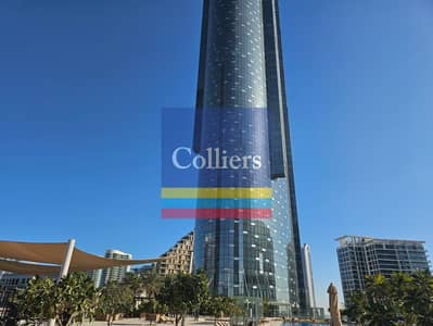 2 Bedroom Flat for Rent in Al Reem Island, Abu Dhabi - 4a55e586-f348-4708-9cdf-af3f62f03310. jpg