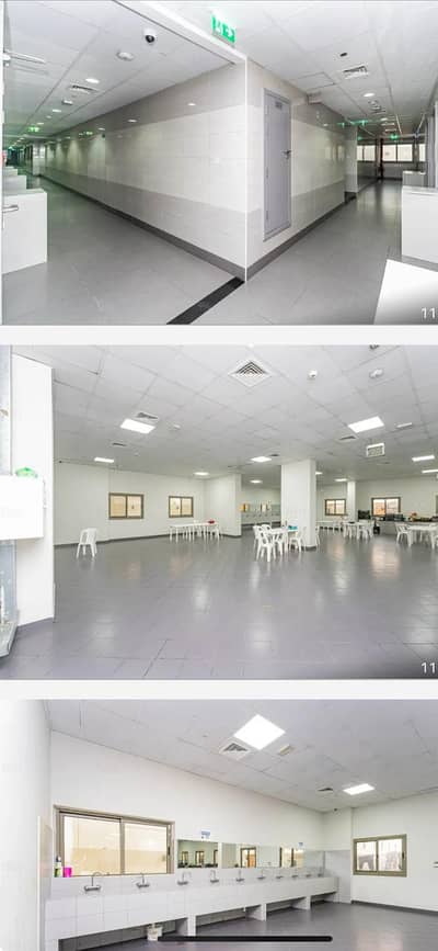 Labour Camp for Sale in Dubai Investment Park (DIP), Dubai - WhatsApp Image 2025-06-11 at 12.18. 16_5b15c5f8. jpg