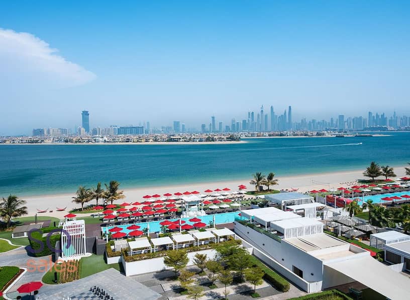17 pool, palm skyline view. png