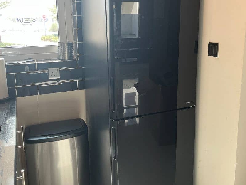 12 Fridge. jpg