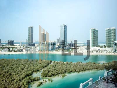 2 Bedroom Apartment for Sale in Al Reem Island, Abu Dhabi - 11_06_2025-14_15_31-1984-205aa071f608e16ce5aa1628f0f39190. jpeg