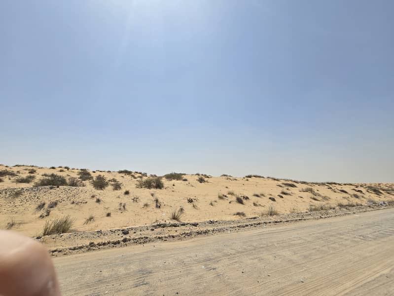 7 ٢٠٢٥٠٦١١_١٠٥٧٢٩. jpg