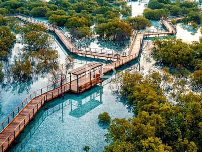 阿尔朱拜勒岛， 阿布扎比 住宅地块待售 - 位于阿尔朱拜勒岛，Seef Al Jubail 的住宅地块 8500000 AED - 11893048