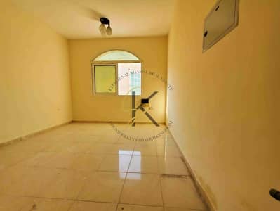 استوديو  للايجار في تجارية مويلح، الشارقة - 20250125_151413. jpg