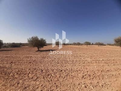Участок Продажа в Al Belaida, Шарджа - ةةةةةةة. jpeg