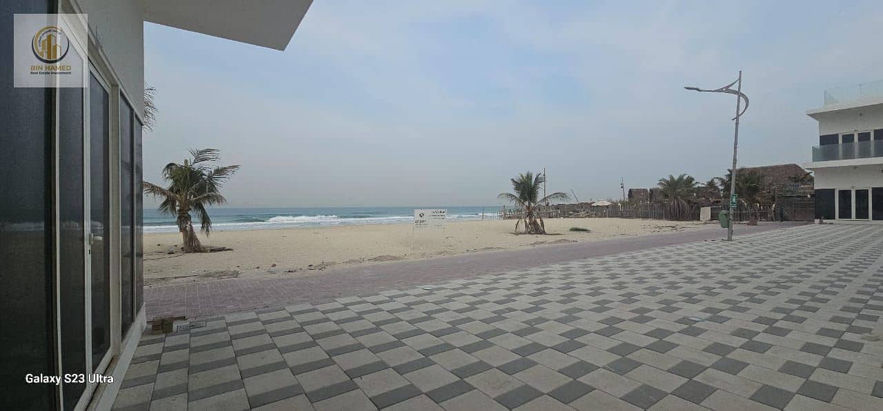 12 صورة واتساب بتاريخ 2024-12-29 في 14.03. 37_9b97fa44. jpg