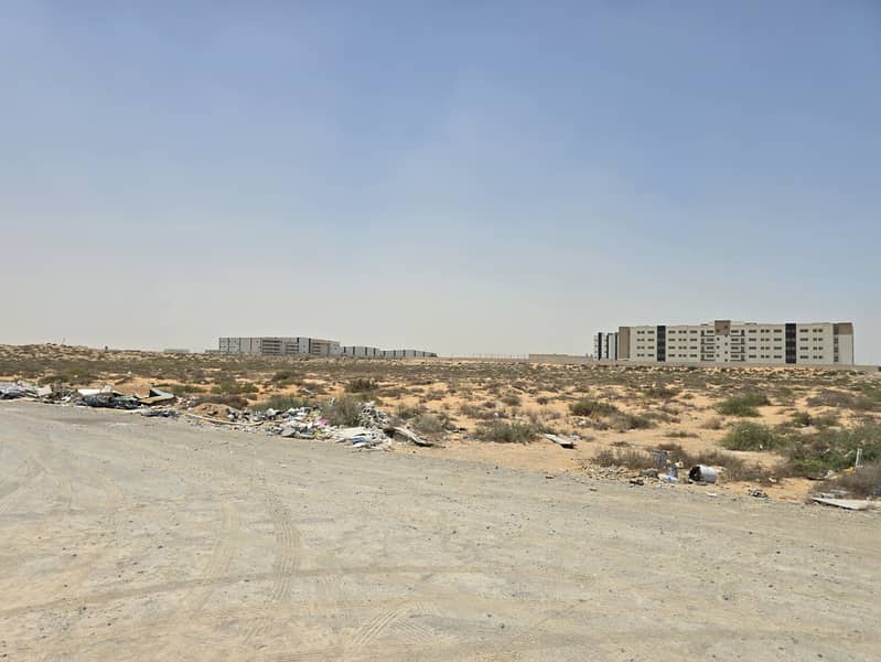 3 ٢٠٢٥٠٦١١_١١٣١٣٤. jpg