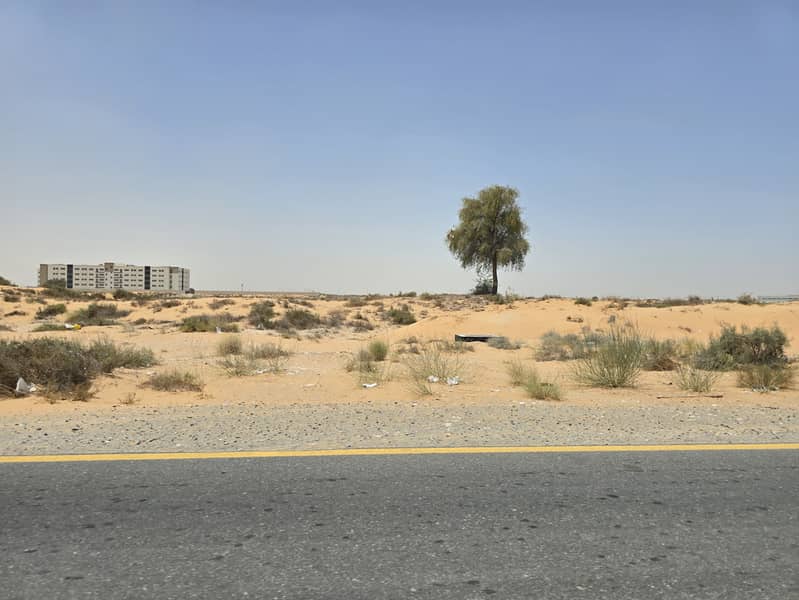 9 ٢٠٢٥٠٦١١_١١٣٣٠٩(0). jpg
