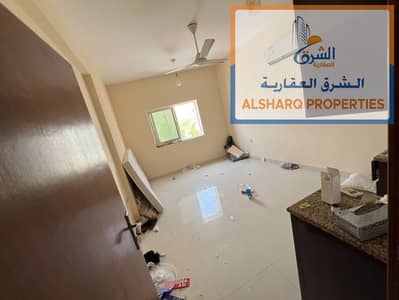 استوديو  للايجار في كورنيش عجمان، عجمان - IMG-20250529-WA0064. jpg