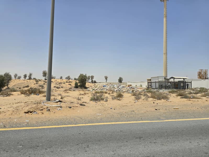 2 ٢٠٢٥٠٦١١_١١٣٦٠٣. jpg