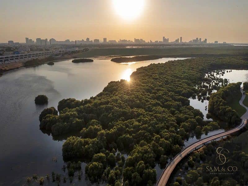 15 Mangroves. jpg