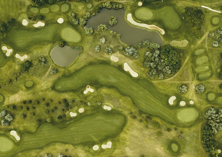16 golf. png