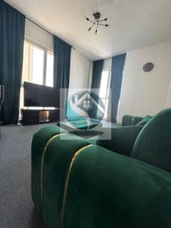 Stunnig upgraded  1 bed room furnished apartment with balcony