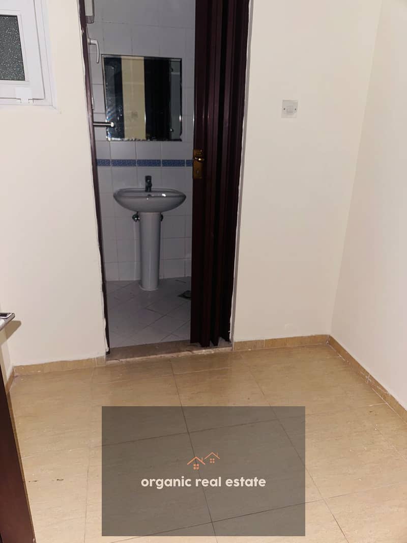 8 1000008911. jpg