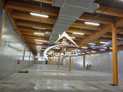 Warehouse for Rent in Mussafah, Abu Dhabi - WhatsApp Image 2025-06-12 at 10.20. 09_a276daff. jpg
