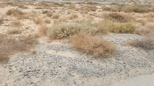 ارض استخدام متعدد  للبيع في النخيل، عجمان - 8253998c-499b-4d61-a4e7-5dc60fca3fac. jpeg
